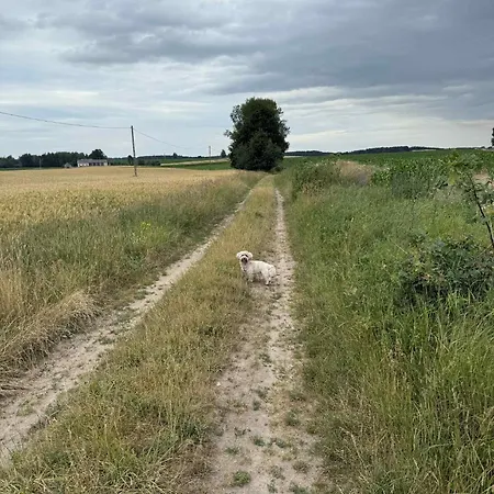 W Tarczynach - Mazurski Dom Z Widokiem Na Jezioro * Tarczyny