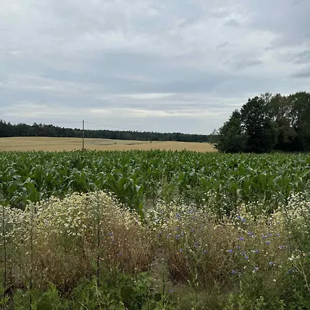 W Tarczynach - Mazurski Dom Z Widokiem Na Jezioro