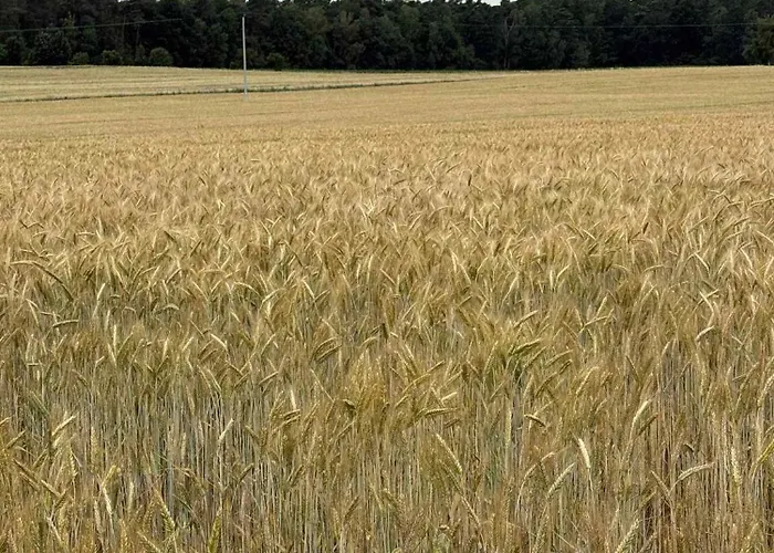W Tarczynach - Mazurski Dom Z Widokiem Na Jezioro Villa *