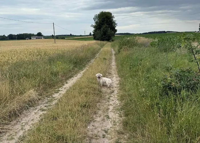 W Tarczynach - Mazurski Dom Z Widokiem Na Jezioro * Tarczyny