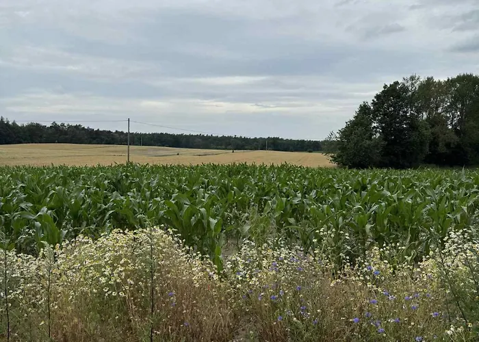 W Tarczynach - Mazurski Dom Z Widokiem Na Jezioro